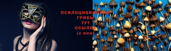 крисы Абдулино