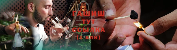 СК Дмитровск
