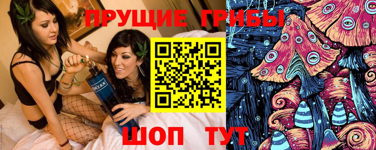 Стрежевой  Псилоцибиновые грибы Psilocybine cubensis  Вход с VPN 