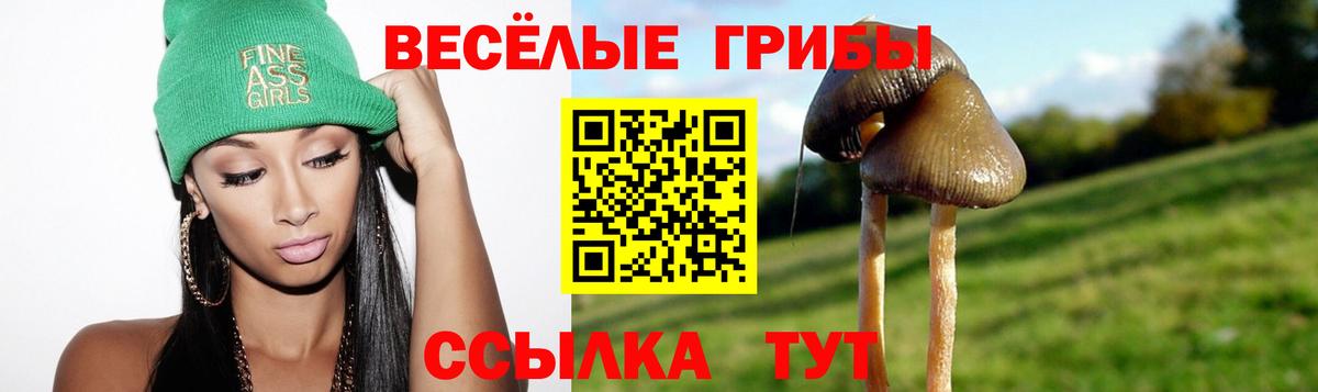 Галлюциногенные грибы прущие грибы Стрежевой